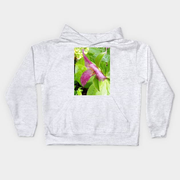 purple trillium #1 Kids Hoodie by DlmtleArt